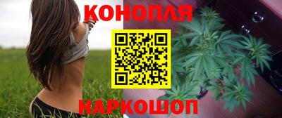стаф Кунгур