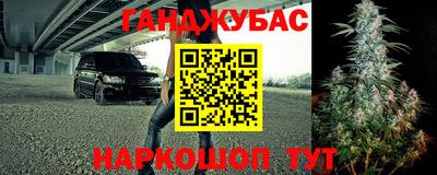 стаф Кунгур
