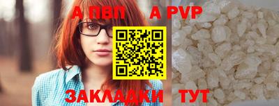 стаф Кунгур
