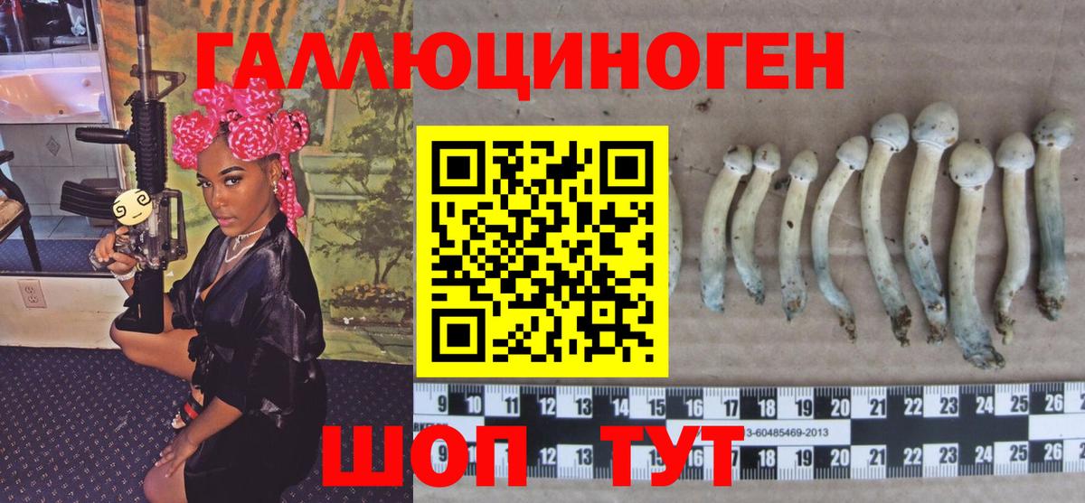 Галлюциногенные грибы мицелий Дербент