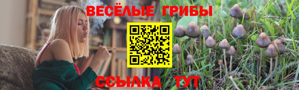 Дербент  Псилоцибиновые грибы Psilocybe  Вход с VPN  Псилоцибиновые грибы мухоморы 